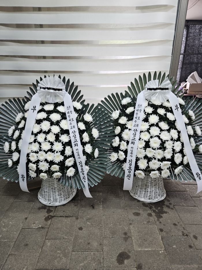 �μ���/����ȣ