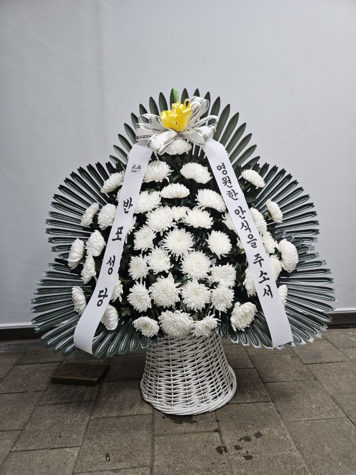 �μ���/���翪