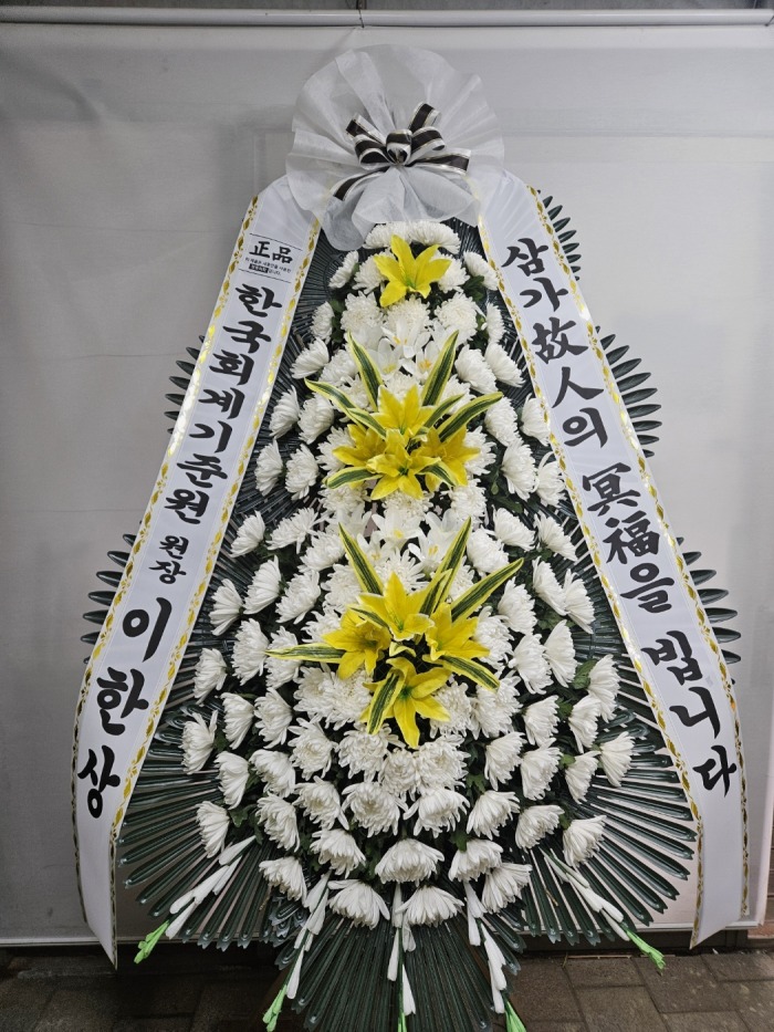 �μ���/�ȿ��