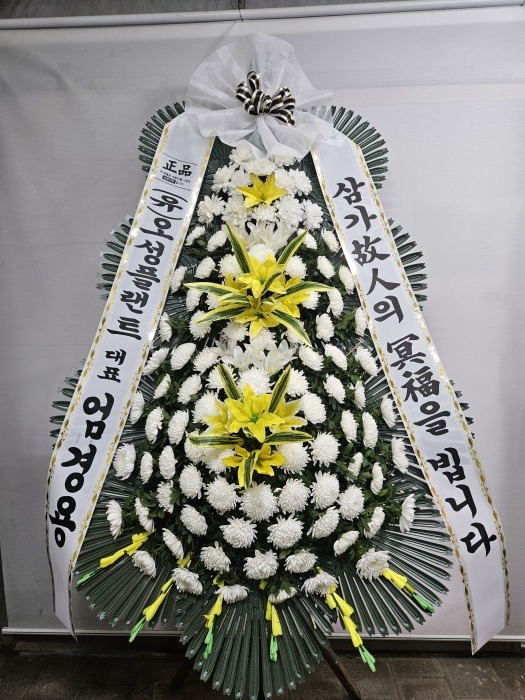 �μ���/�̿���