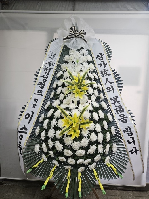 �μ���/�ǿ켺
