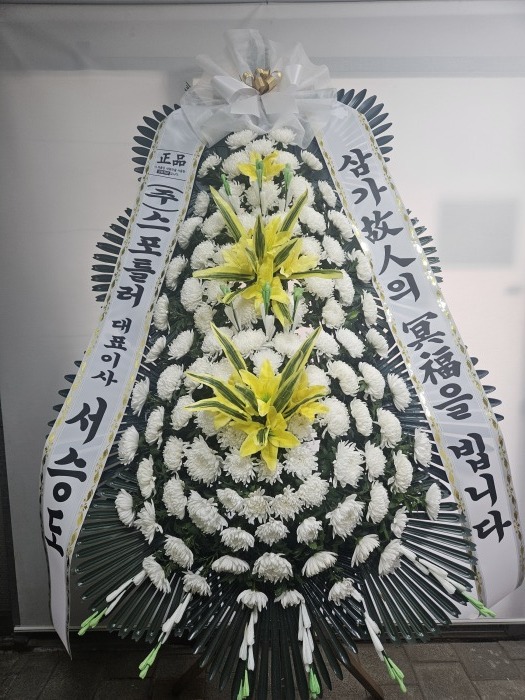 �μ���/�ǿ���