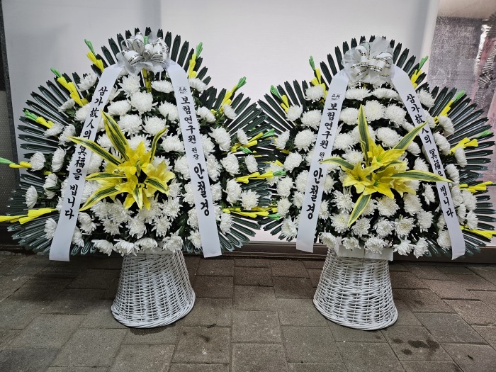 �μ���/����ȣ