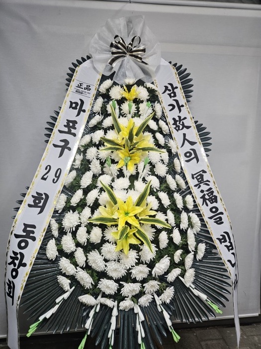 �μ���/����ȣ