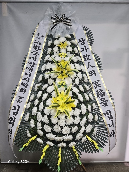 �μ���/�鼱��