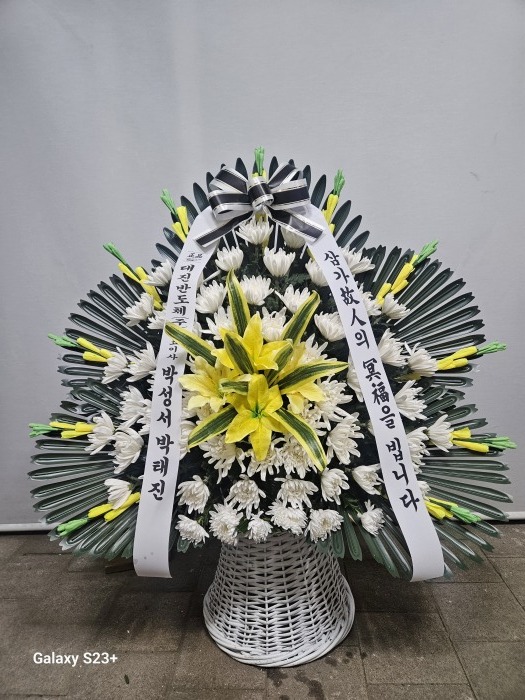 �μ���/���̶�