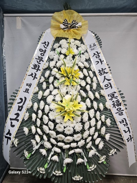 �μ���/���뿭