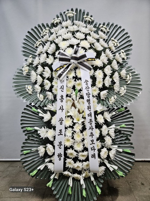 �μ���/ȭ���