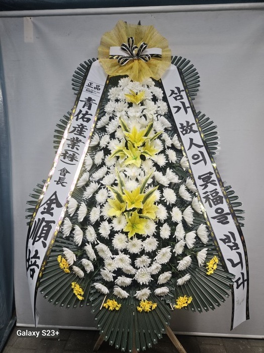 �μ���/����ȯ