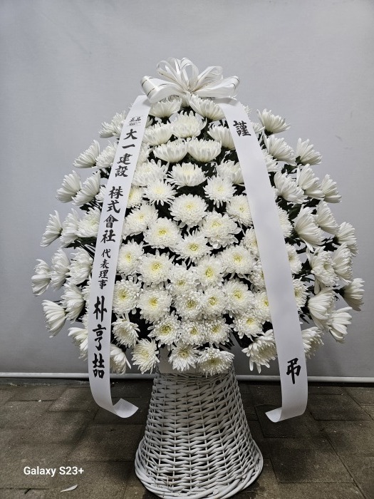 �μ���/����ȣ
