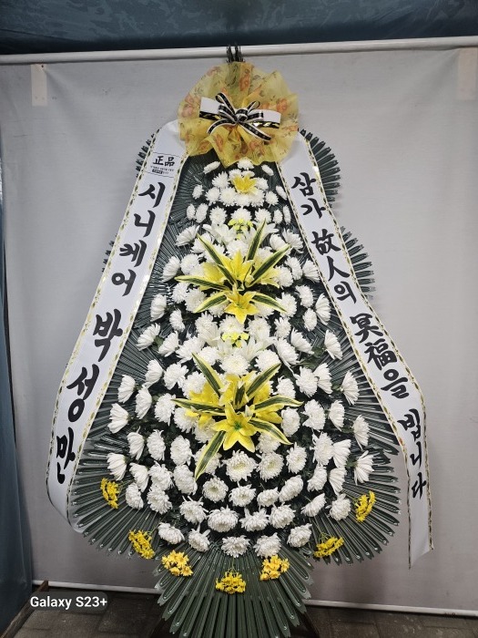 �μ���/�̿���