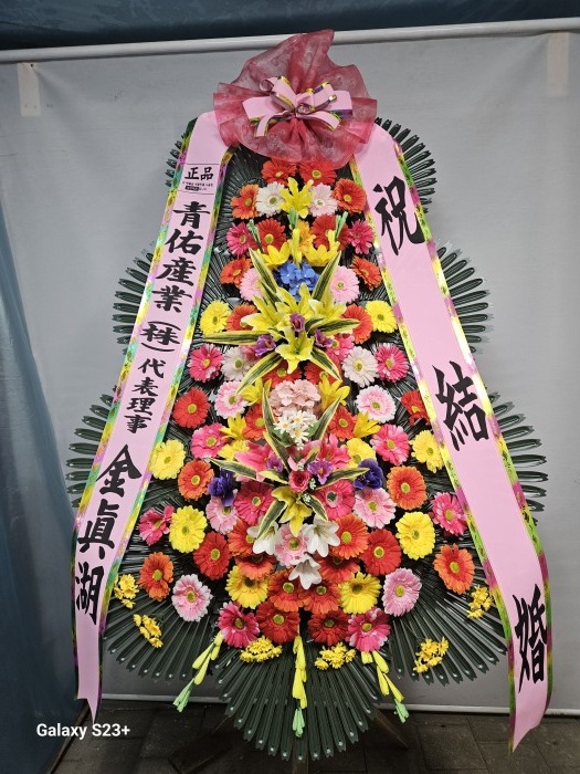 �μ���/�輱��