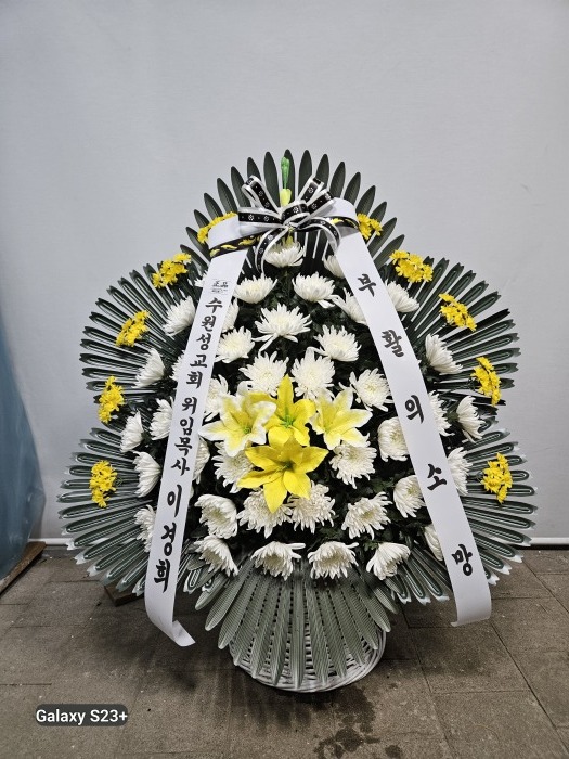 �μ���/�㱤ȸ