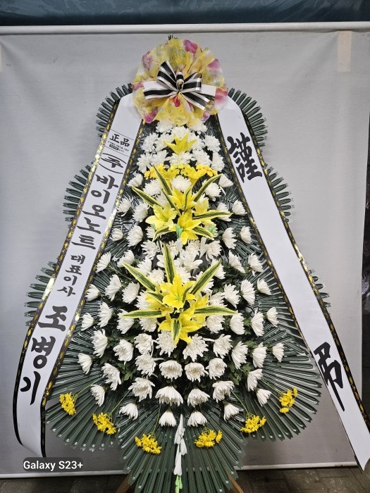 �μ���/���ϼ�