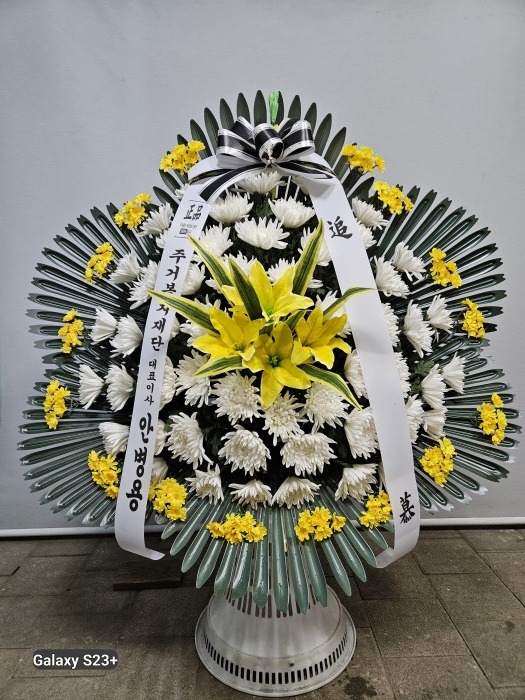 �μ���/�ۿ��