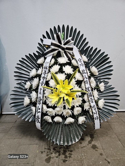 �μ���/��ȣ��