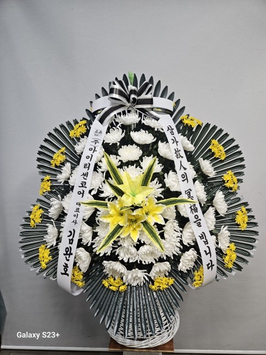 �μ���/�ֶ�