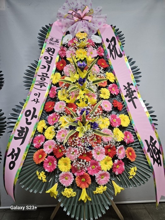 �μ���/���켮
