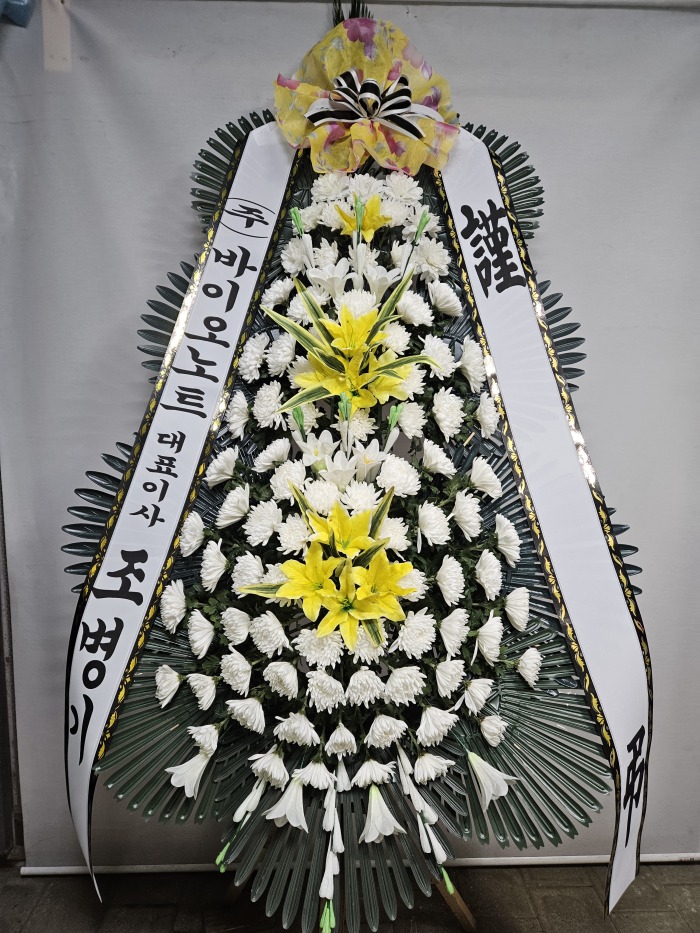 �μ���/��ȣ��
